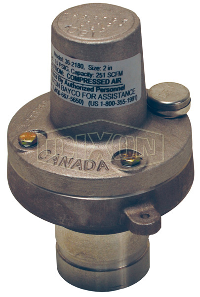 Air Relief Valve Fixed Pressure Female NPT